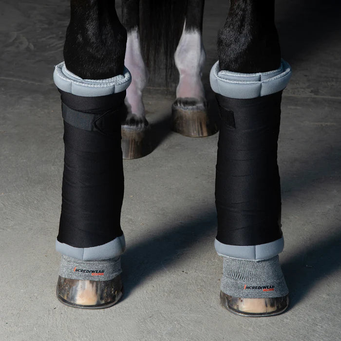 Incrediwear Equine Circulation Wraps World of Horses