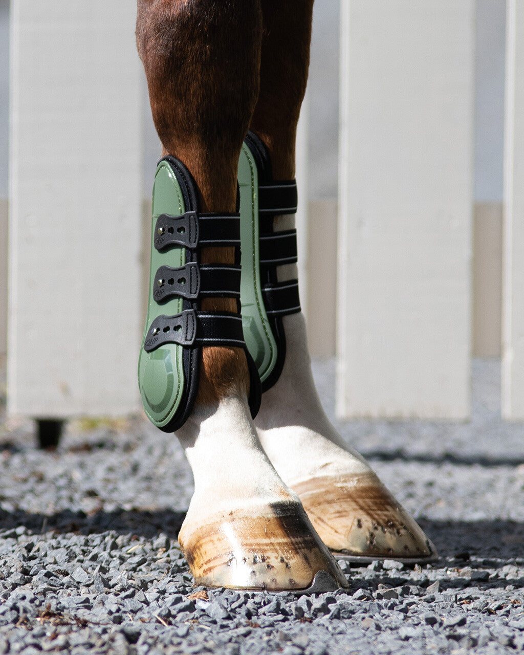 QHP Champion Open Front Jump Boots
