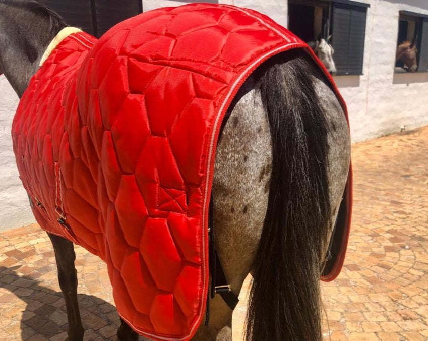 WOH Stable Blanket – World of Horses