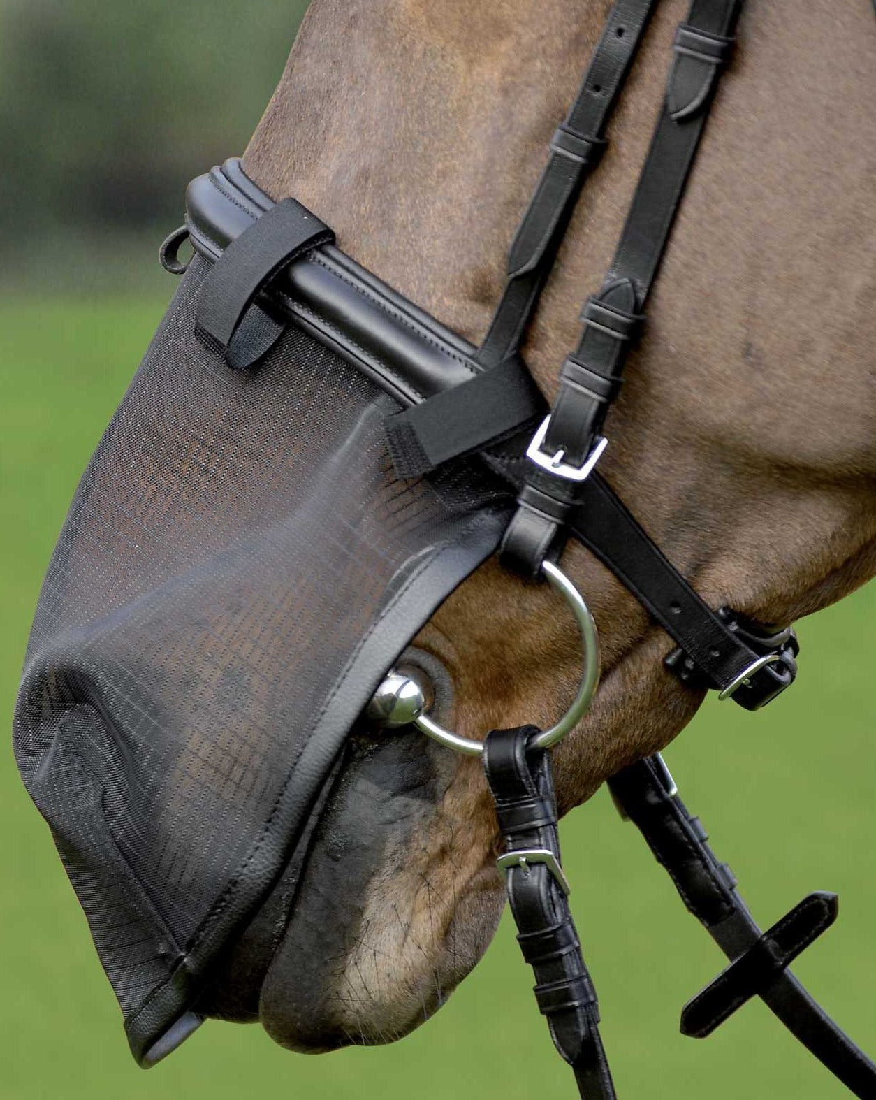 Waldhausen Fly Cover For Nose – World of Horses